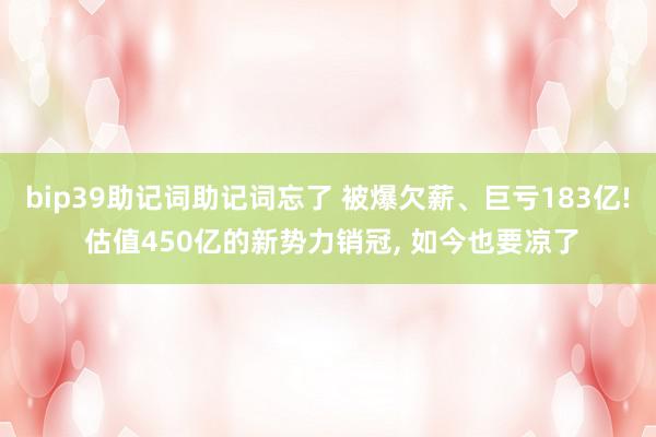 bip39助记词助记词忘了 被爆欠薪、巨亏183亿! 估值450亿的新势力销冠, 如今也要凉了